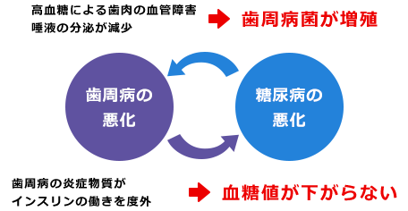 高血糖による歯肉の血管障害唾液の分泌が減少 歯周病菌が増殖 歯周病の炎症物質がインスリンの働きを度外 血糖値が下がらない